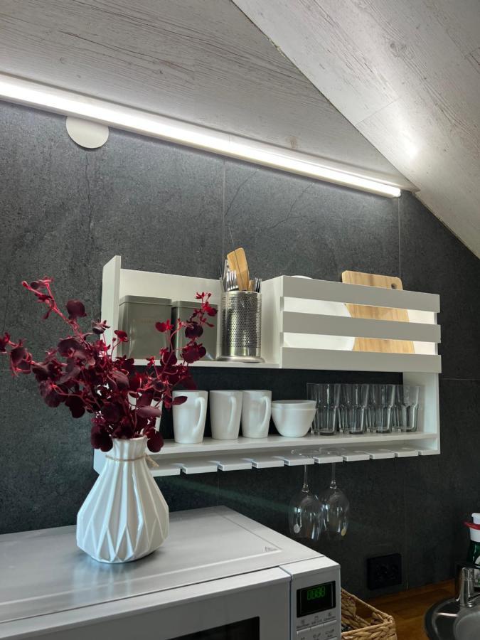 Appartement Luxury_loft à Kamianets-Podilsky Extérieur photo